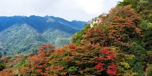 岁暖时刻丨藏在张家界的秘境！