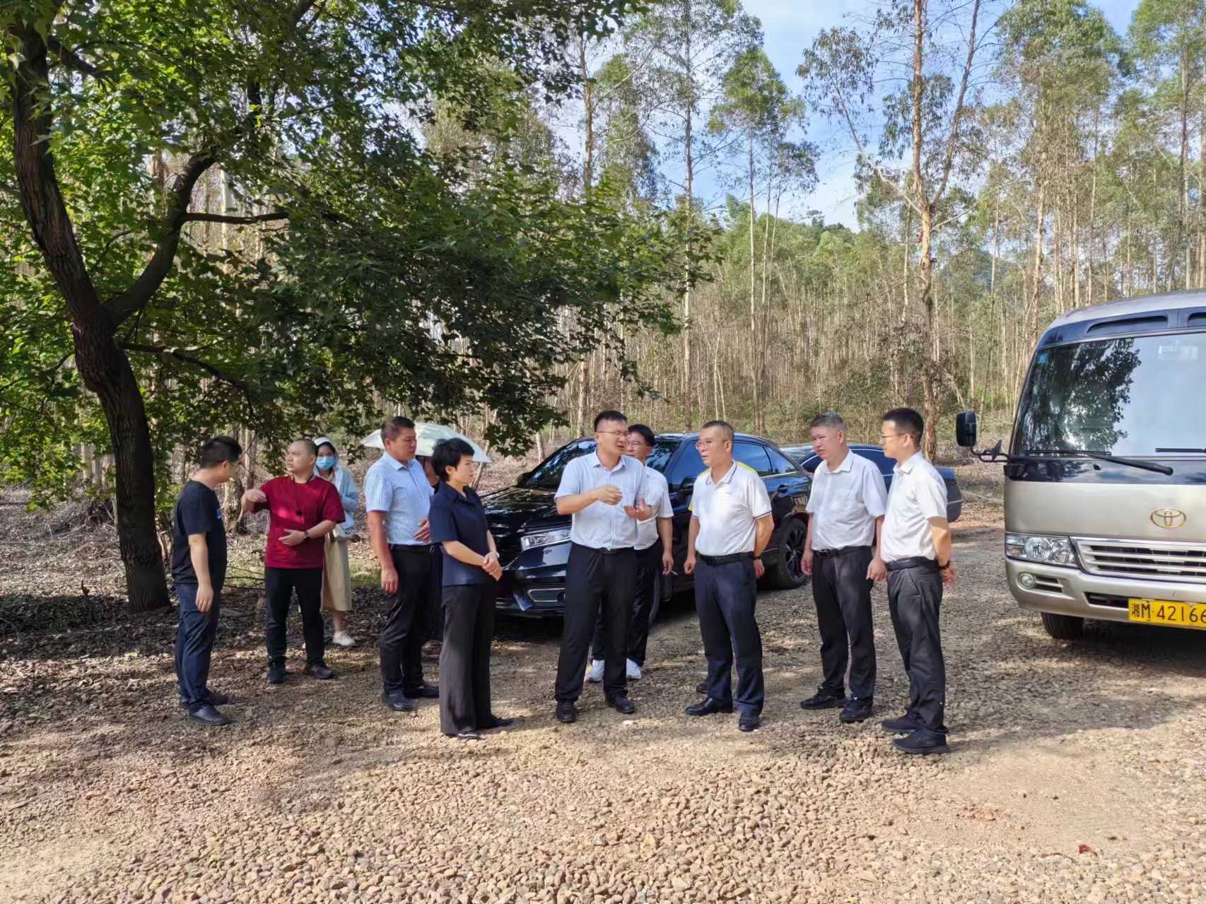 湖南政协新闻网 湖南政协新闻网