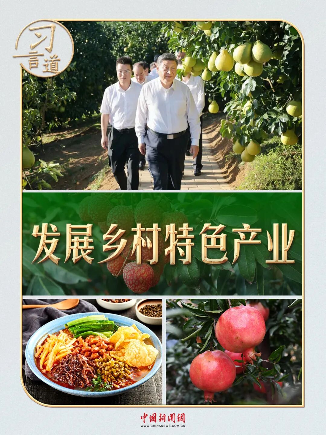 习近平|从荔枝园到柚园，习近平时刻牵挂