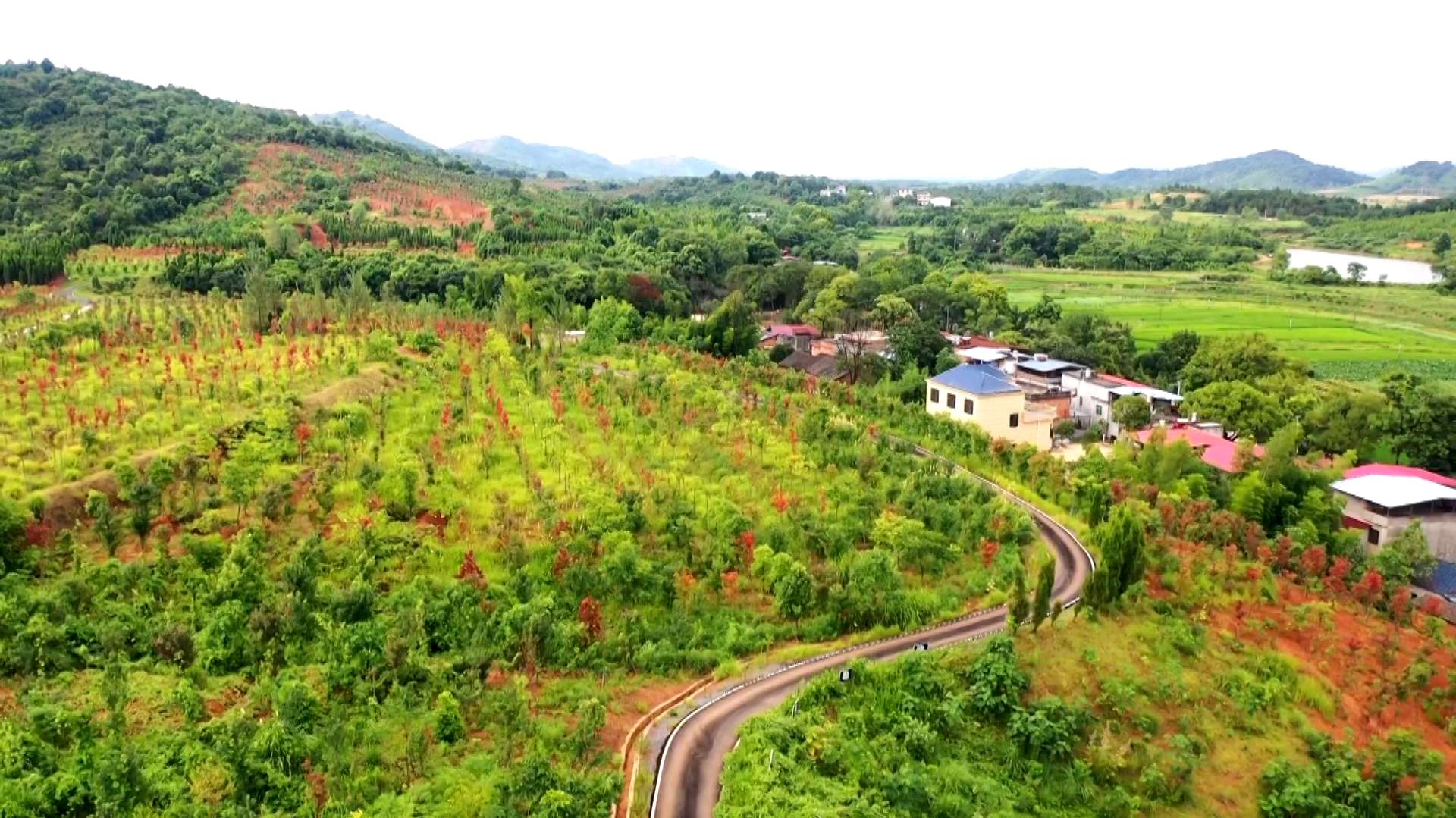 湖南政协新闻网 湖南政协新闻网