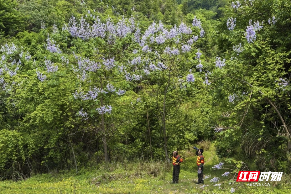 图片7.png 图片7.png