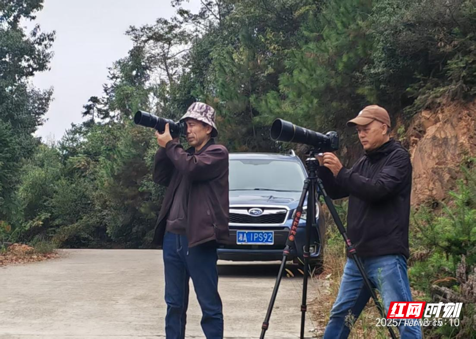 图片2.png 图片2.png