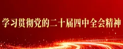 学习贯彻党的二十届四中全会精神