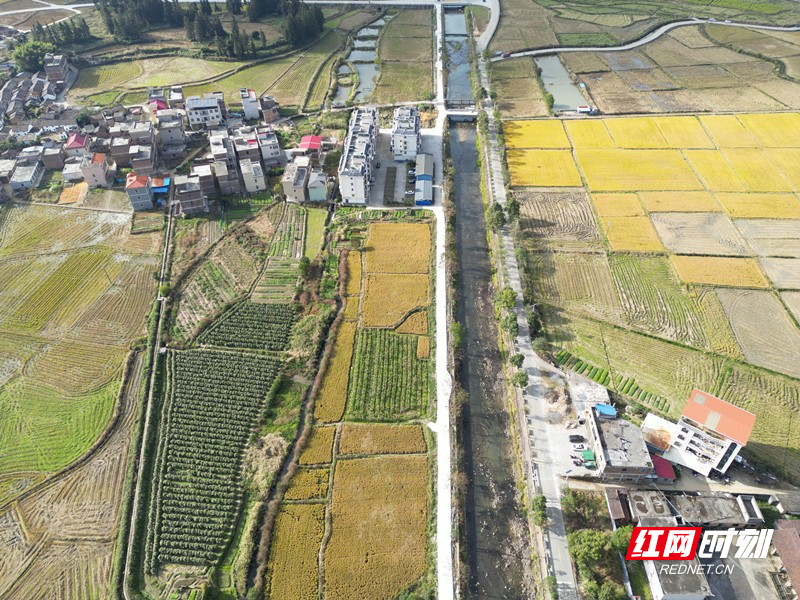 两条平坦整洁的道路笔直地伸展在井坡镇河两岸_副本.jpg 两条平坦整洁的道路笔直地伸展在井坡镇河两岸_副本.jpg