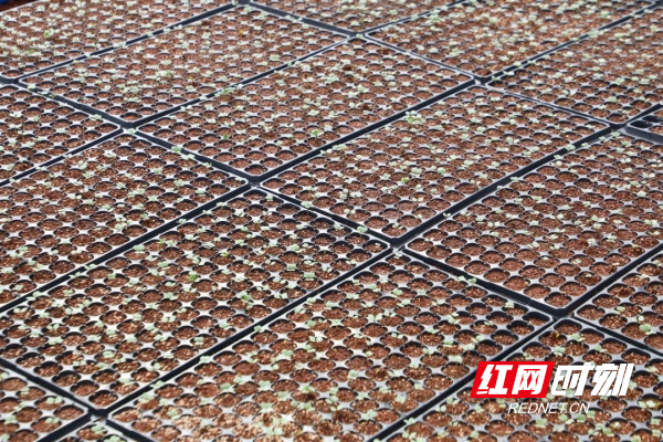 00_副本.jpg 00_副本.jpg