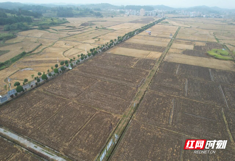 微信图片_2025-11-12_154039_626.jpg 微信图片_2025-11-12_154039_626.jpg