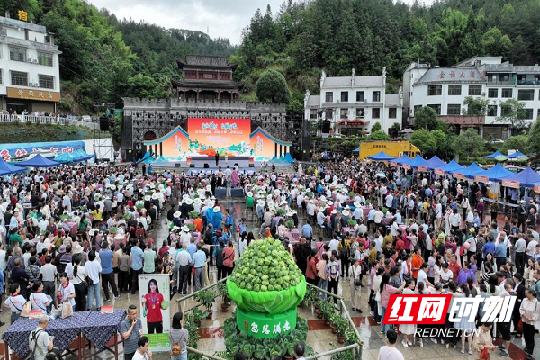 图片 1.png 图片 1.png