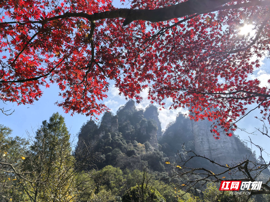 微信图片_20251112130726_208_112.jpg 微信图片_20251112130726_208_112.jpg