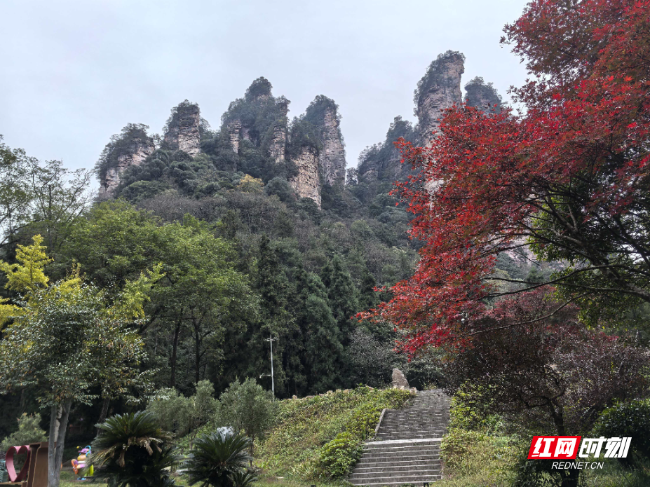 微信图片_20251112130726_207_112.jpg 微信图片_20251112130726_207_112.jpg