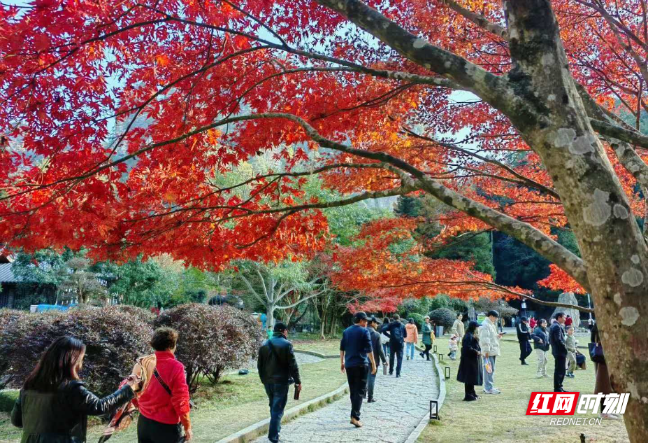 微信图片_20251112130728_211_112.jpg 微信图片_20251112130728_211_112.jpg