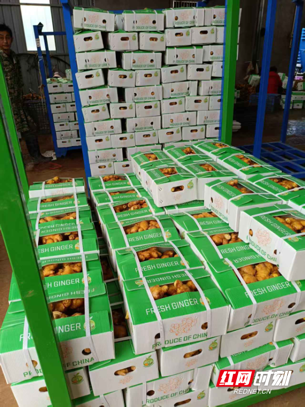 WechatIMG97.jpeg WechatIMG97.jpeg