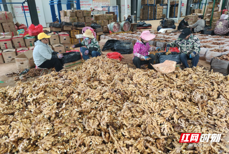 WX20251112-131928.png WX20251112-131928.png