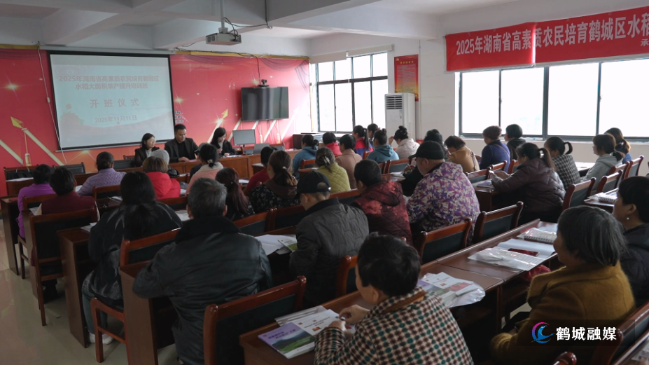 科技赋能粮田 培育“田秀才” 鹤城区水稻单产提升培训班开班.mp4_000001.296.png