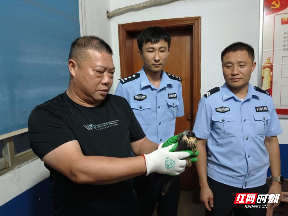 图片5.png 图片5.png