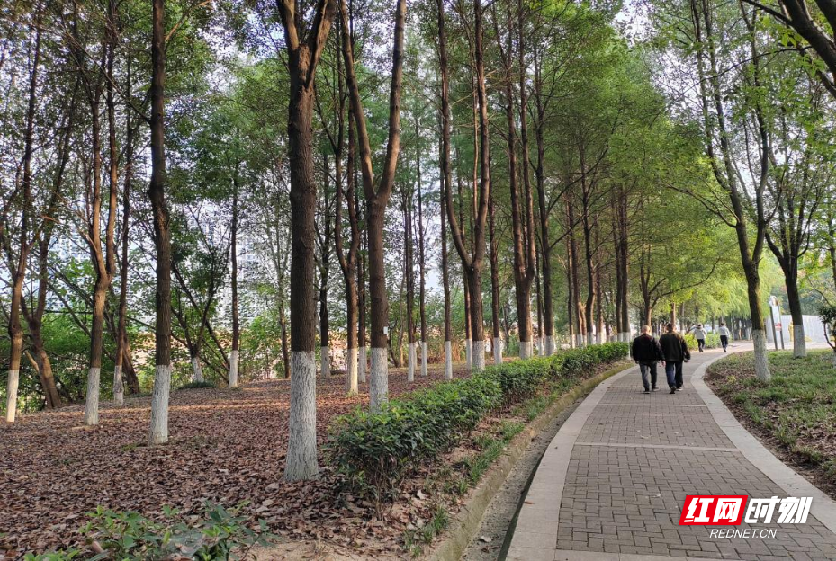 图片4.png 图片4.png