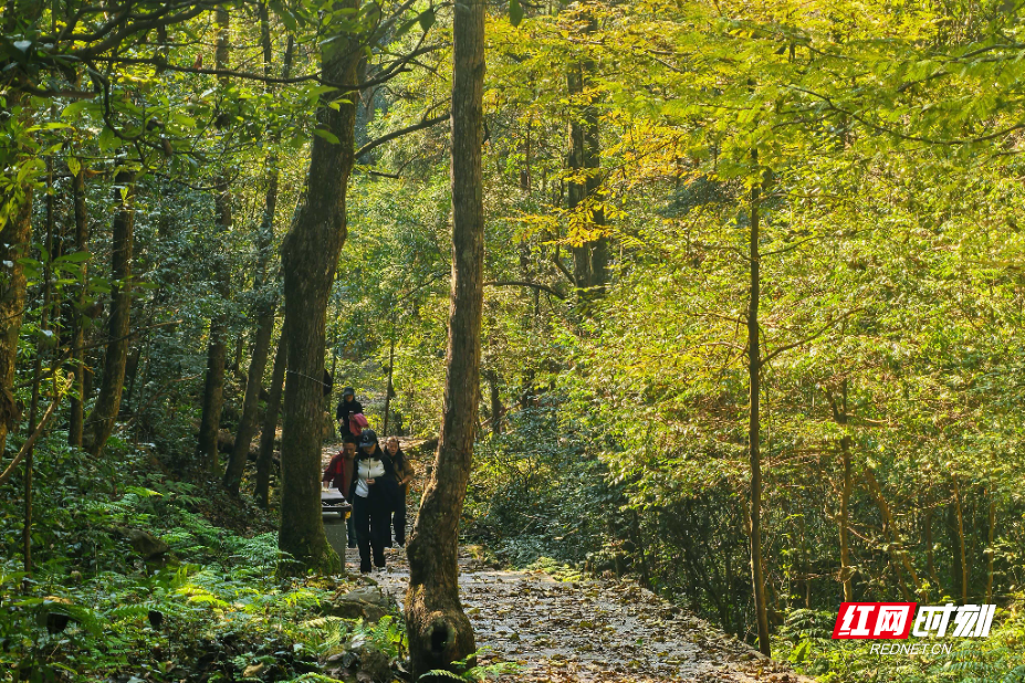 微信图片_20251113135819_970_214.jpg 微信图片_20251113135819_970_214.jpg