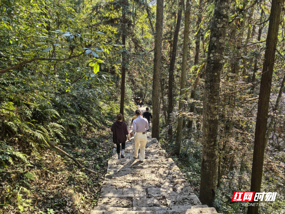 微信图片_20251113135820_972_214.jpg 微信图片_20251113135820_972_214.jpg