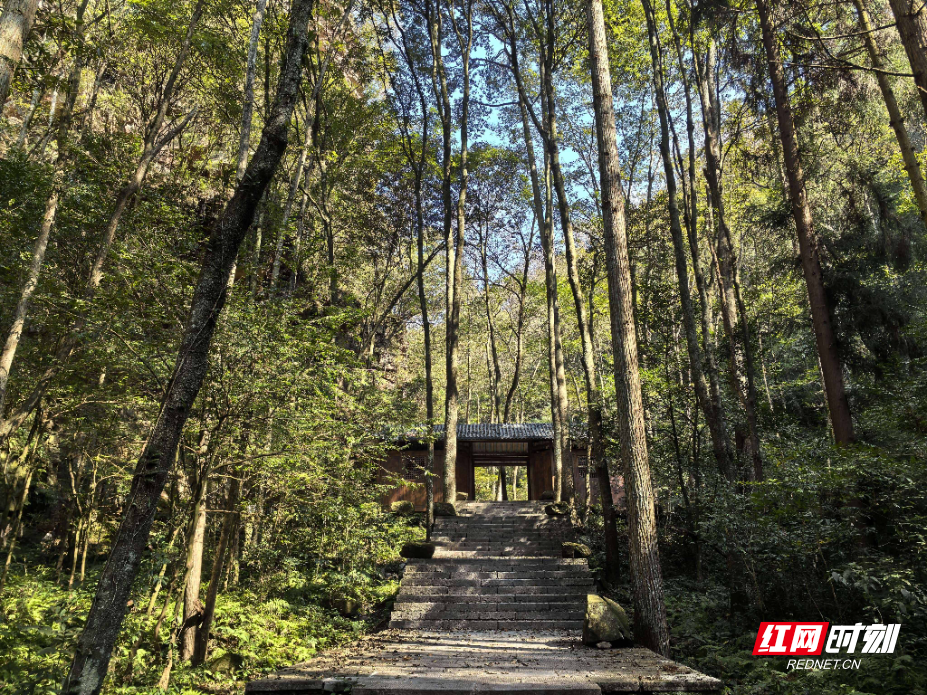 微信图片_20251113135820_971_214.jpg 微信图片_20251113135820_971_214.jpg