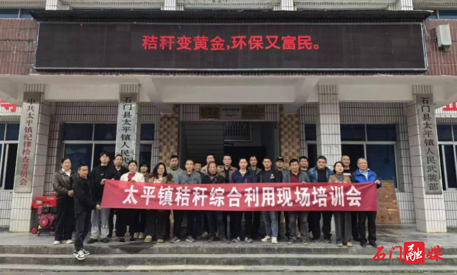 太平镇：强化科技赋能，推动秸秆高效利用1.jpg