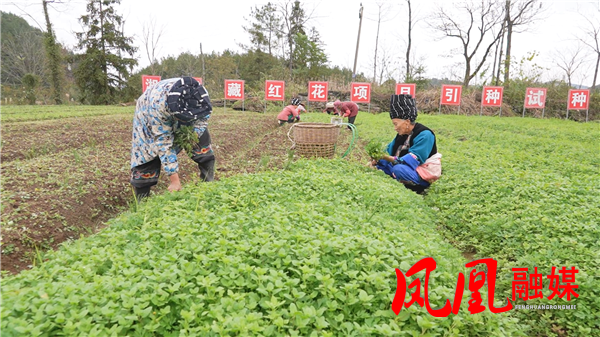 Still1113_00012.png Still1113_00012.png