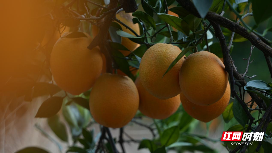 image007.jpg image007.jpg