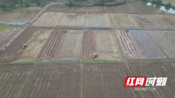 油菜机械化-3.jpg 油菜机械化-3.jpg