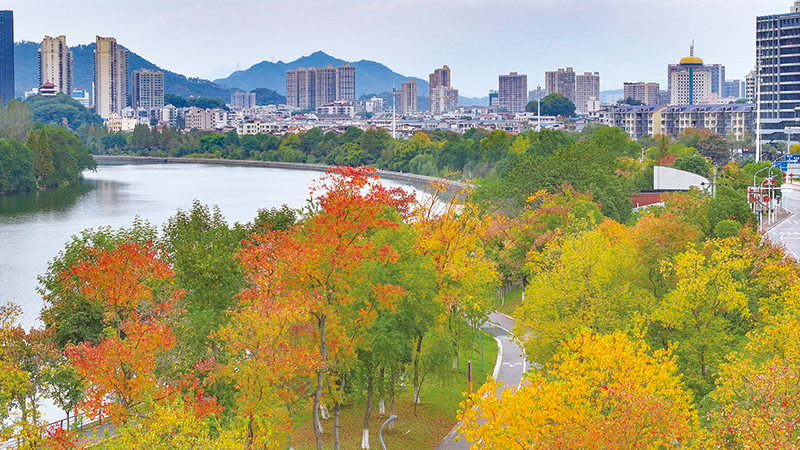 晴暖到周日，下周气温“断崖式断崖式””下跌