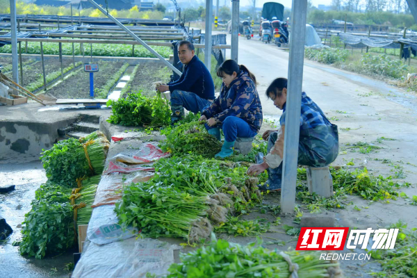 微信图片_20251114131824_407_291.jpg 微信图片_20251114131824_407_291.jpg