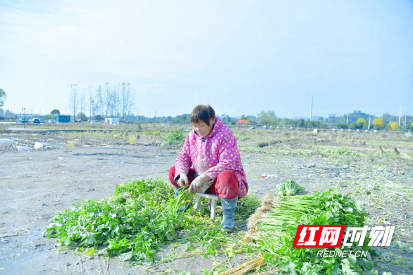 微信图片_20251114131820_404_291.jpg 微信图片_20251114131820_404_291.jpg