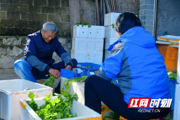 微信图片_20251114131819_403_291.jpg 微信图片_20251114131819_403_291.jpg