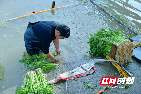 微信图片_20251114131822_405_291.jpg 微信图片_20251114131822_405_291.jpg