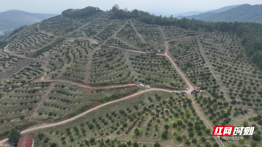 image003.jpg image003.jpg