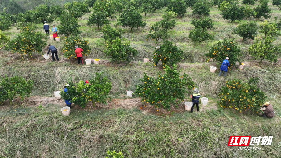 image001.jpg image001.jpg