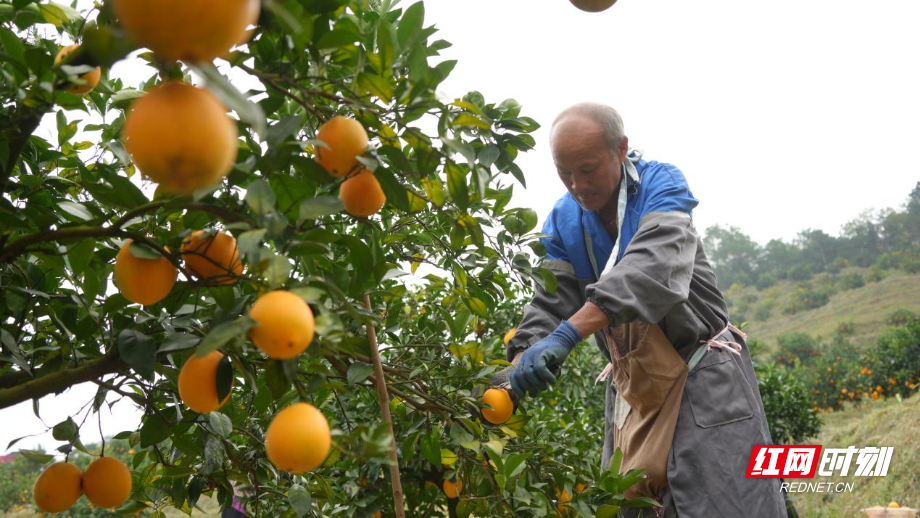 image007.jpg image007.jpg