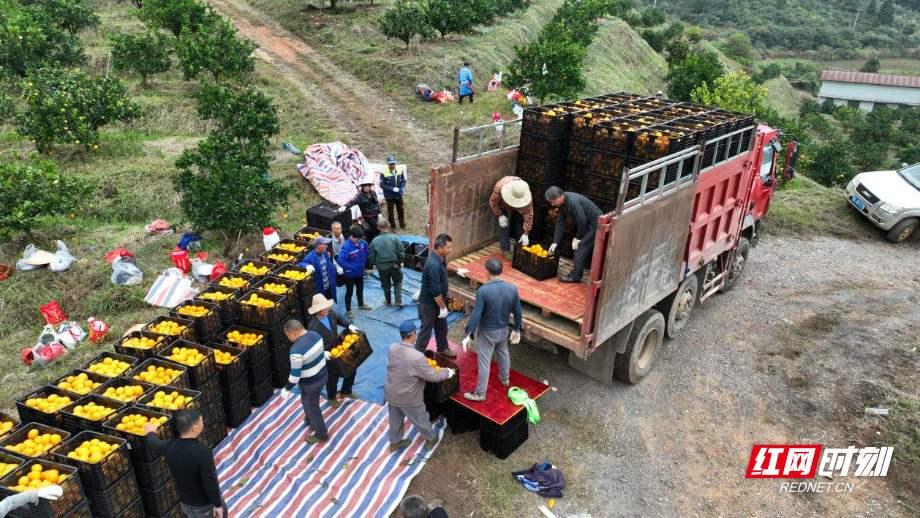 image005.jpg image005.jpg