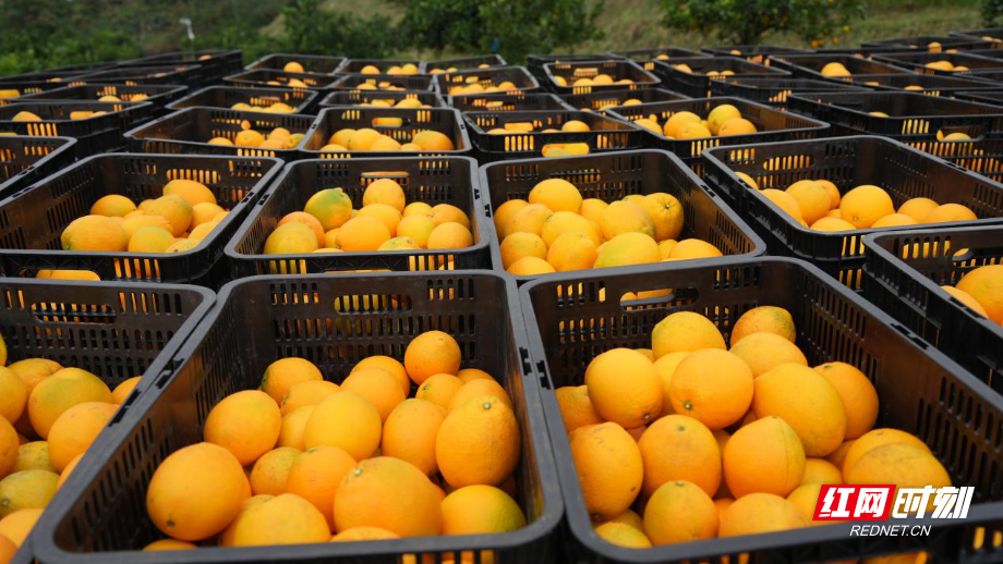 image017.jpg image017.jpg