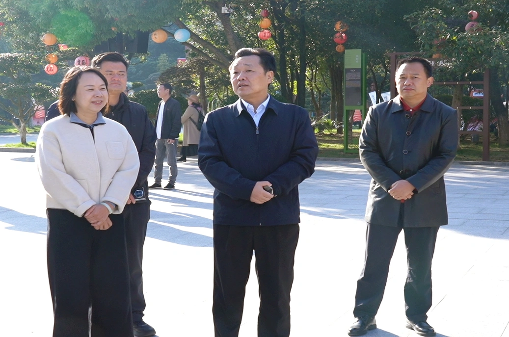 唐成调研文旅项目运营情况并督导检查安全生产工作
