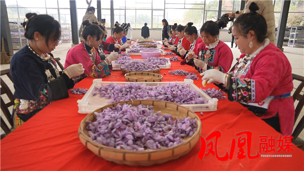 Still1113_00006.png Still1113_00006.png