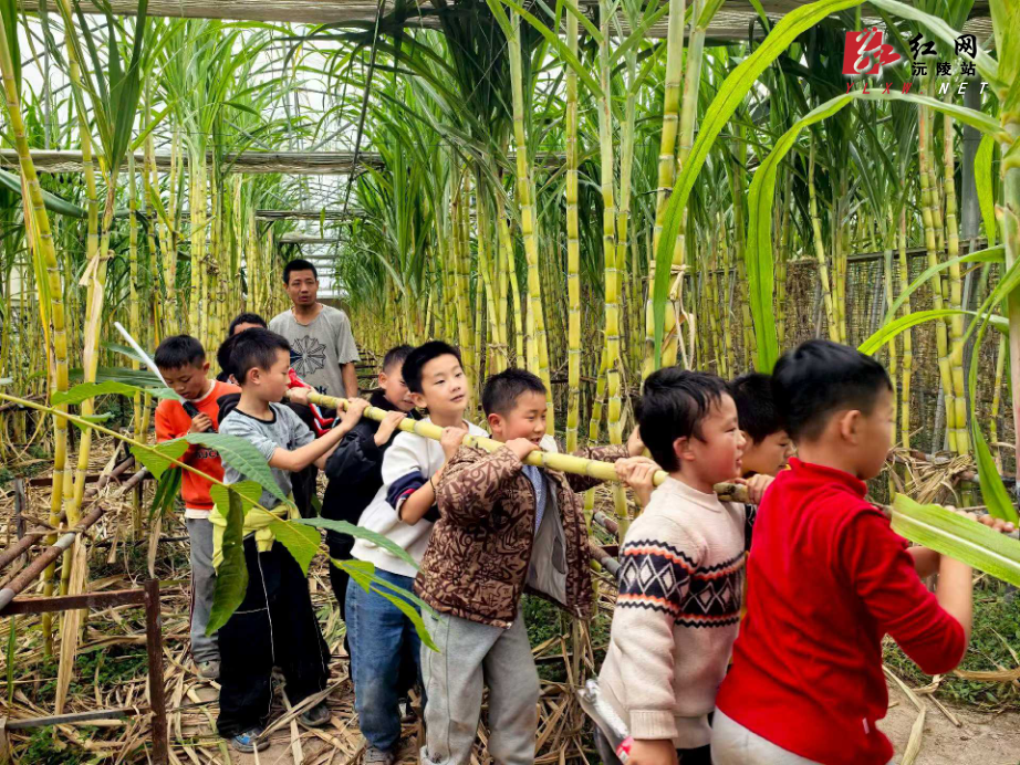 微信图片_2025-11-14_143149_716.jpg 微信图片_2025-11-14_143149_716.jpg