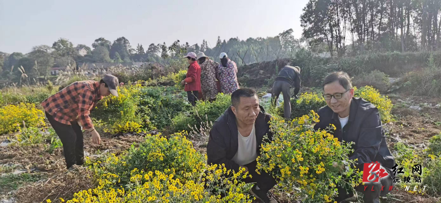 微信图片_20251114160009_80_54.jpg 微信图片_20251114160009_80_54.jpg