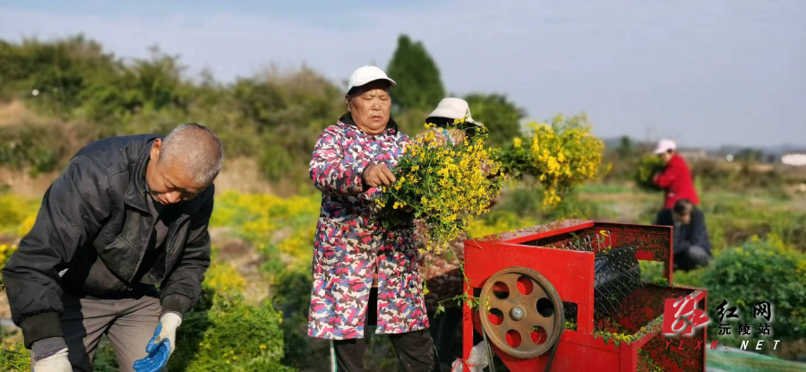 微信图片_20251114160011_81_54.jpg 微信图片_20251114160011_81_54.jpg