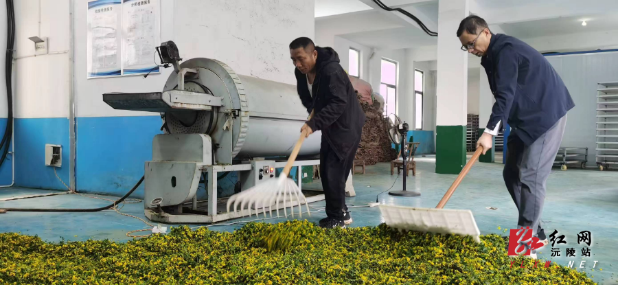 微信图片_20251114160014_82_54.jpg 微信图片_20251114160014_82_54.jpg