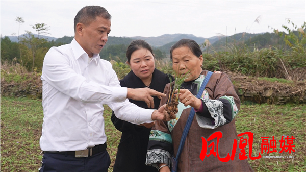 Still1113_00011.png Still1113_00011.png