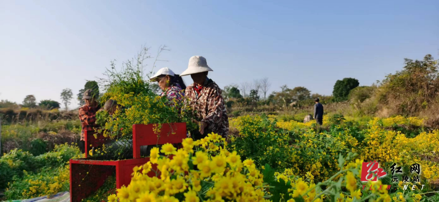 微信图片_20251114160006_79_54.jpg 微信图片_20251114160006_79_54.jpg