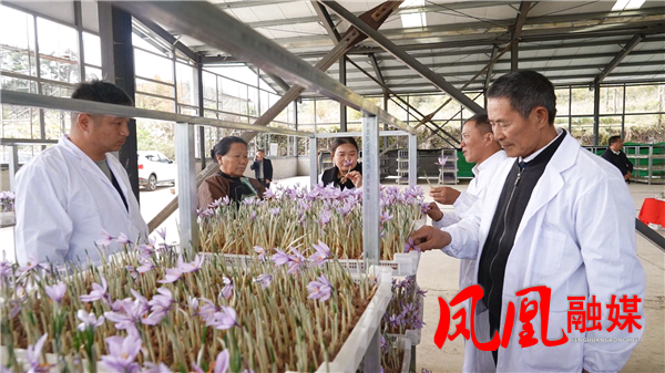 Still1113_00010.png Still1113_00010.png