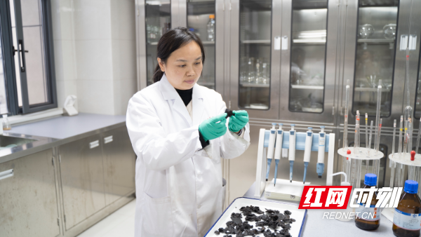 _DSC3672.jpg _DSC3672.jpg