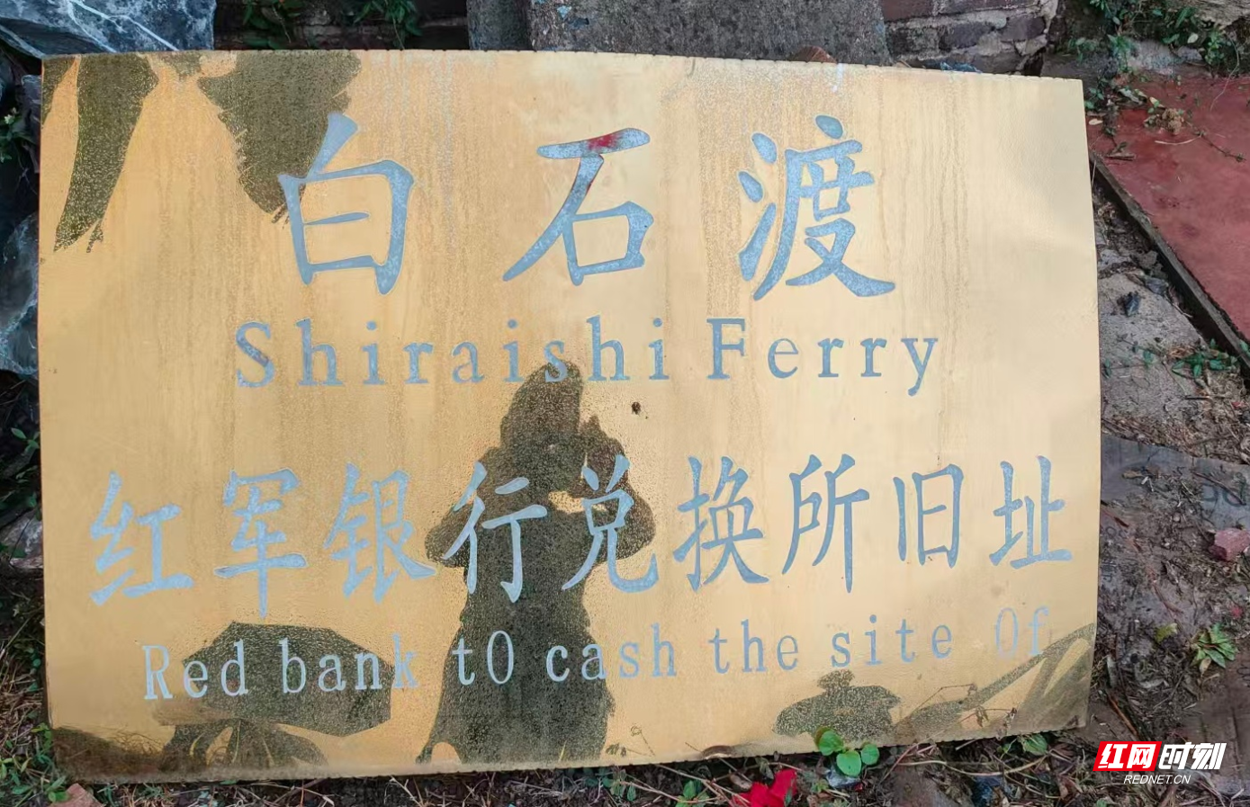 图片1.png 图片1.png