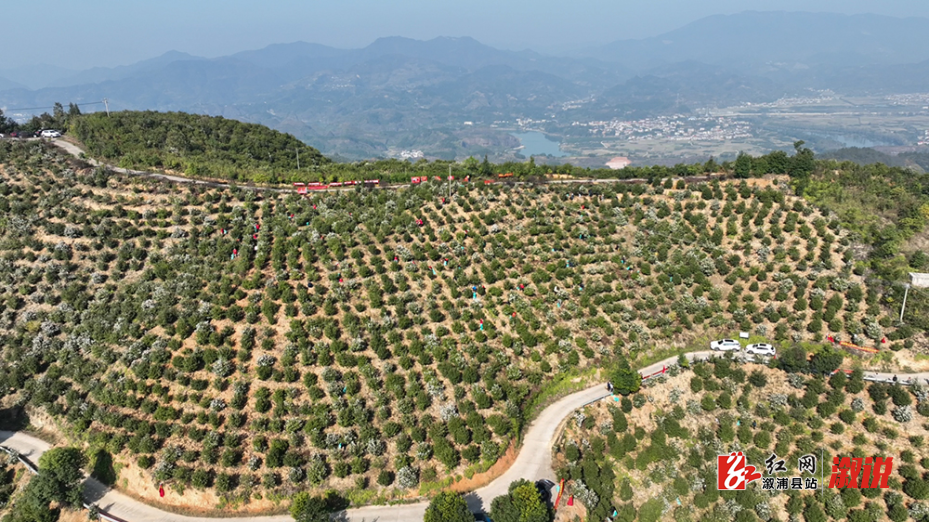 图片3.png 图片3.png