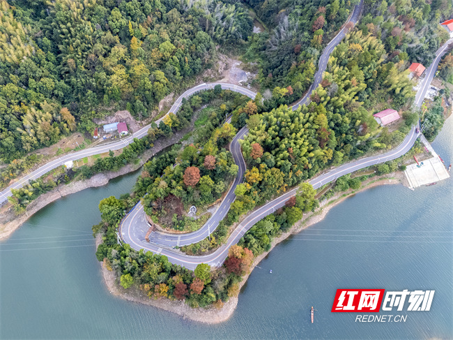 DJI_20251113171349_0574_D_2.jpg DJI_20251113171349_0574_D_2.jpg