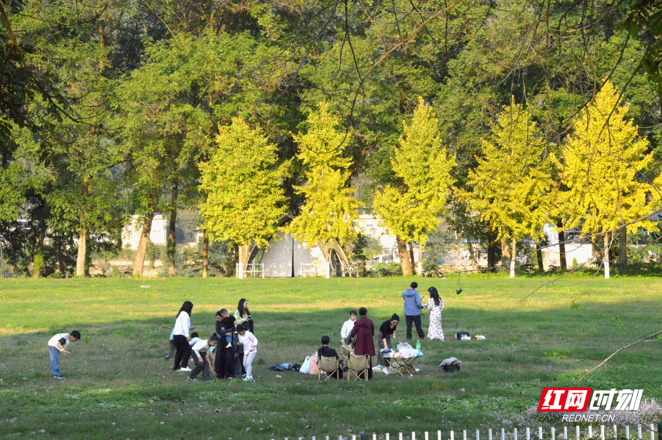 DSC_3264.JPG DSC_3264.JPG